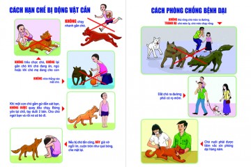 Một số mẫu tờ rơi phòng chống dịch bệnh